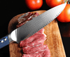 DeGrandisCuisine couteau de cuisine Couteau de chef XITUO <br> Lame en acier Japonais